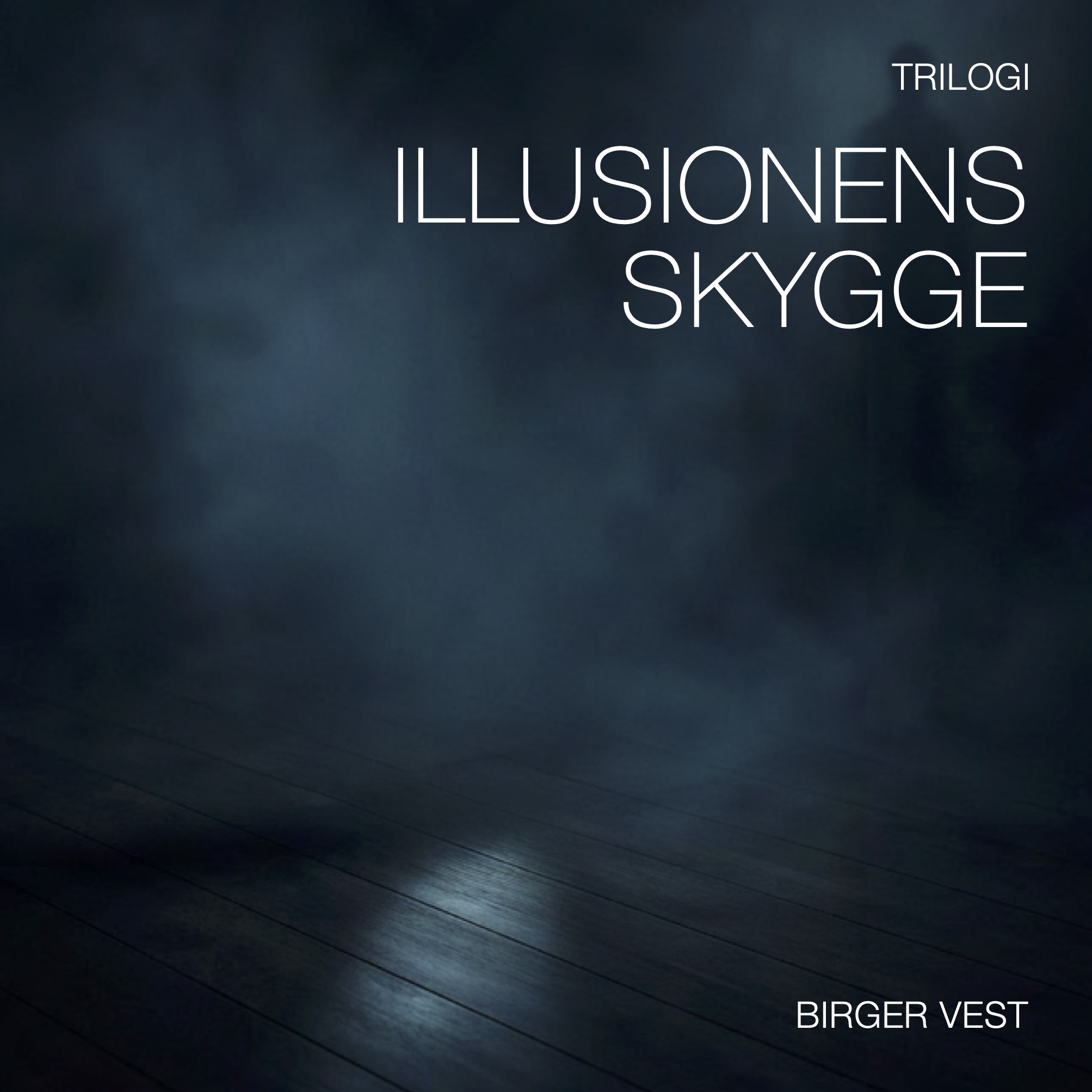 Birger Vest - Illusionens Skygge