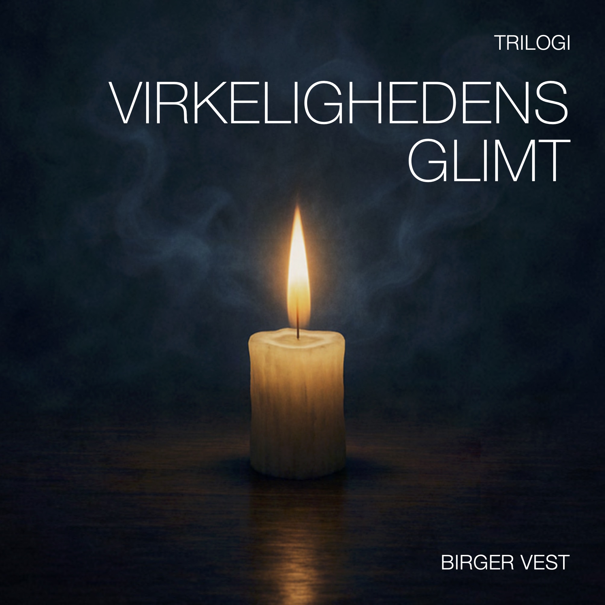 Birger Vest - Virkelighedens Glimt